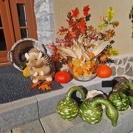 Sepsi Relax Hotel Sfântu Gheorghe Bagian luar foto