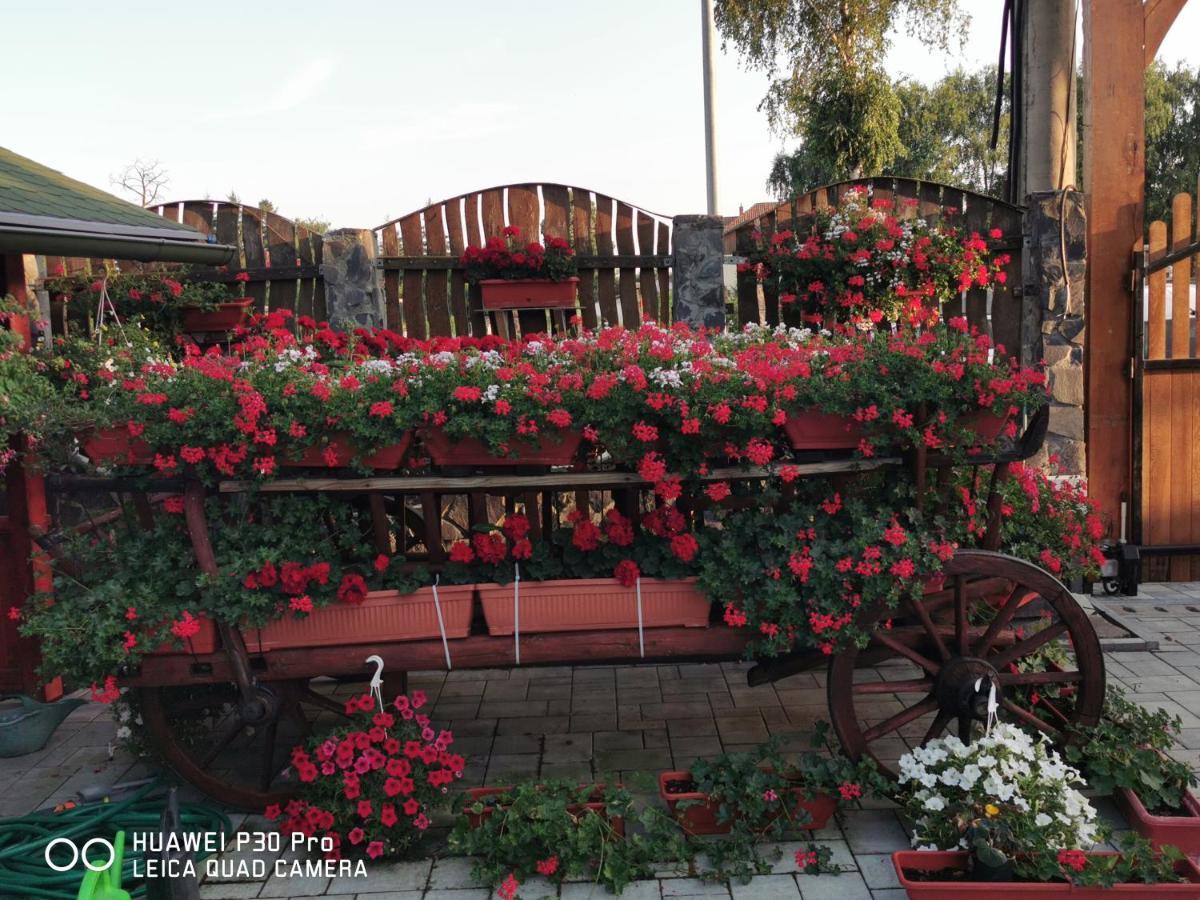 Sepsi Relax Hotel Sfântu Gheorghe Bagian luar foto
