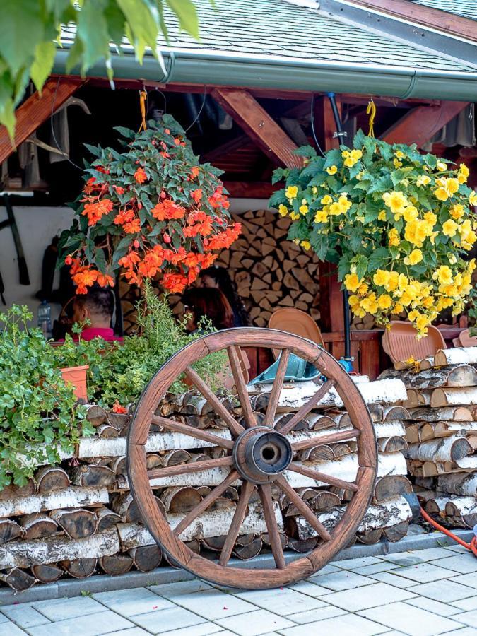 Sepsi Relax Hotel Sfântu Gheorghe Bagian luar foto