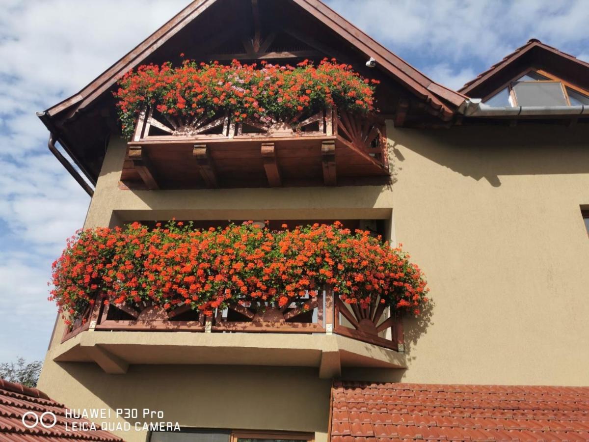 Sepsi Relax Hotel Sfântu Gheorghe Bagian luar foto