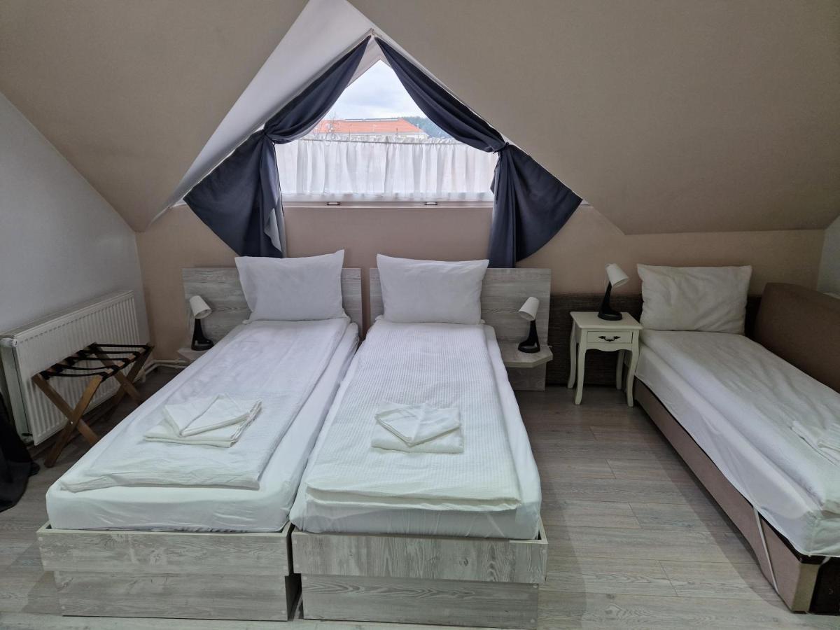 Sepsi Relax Hotel Sfântu Gheorghe Bagian luar foto
