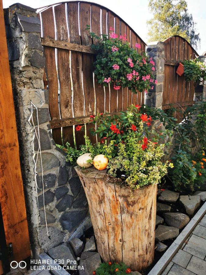 Sepsi Relax Hotel Sfântu Gheorghe Bagian luar foto