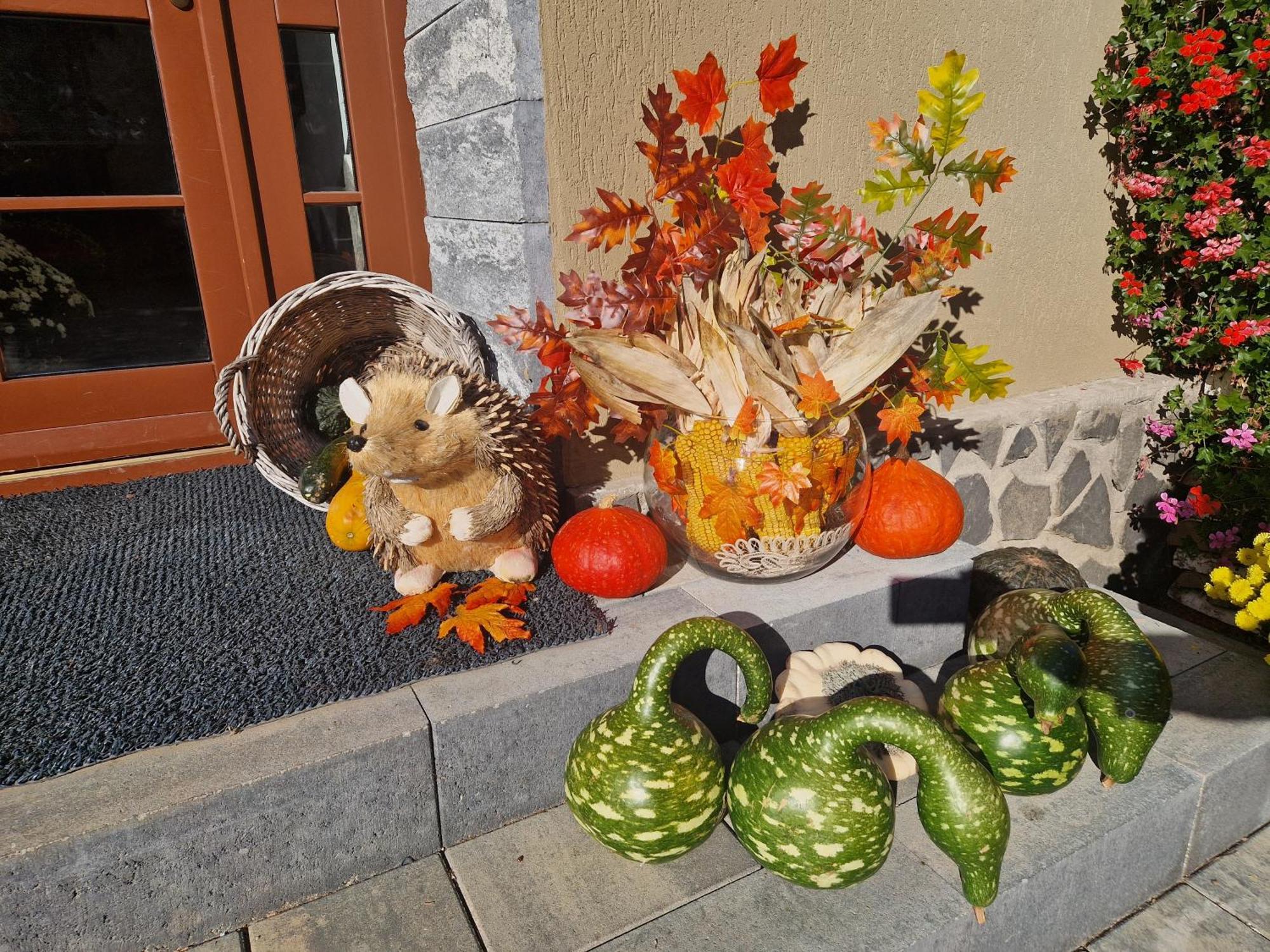 Sepsi Relax Hotel Sfântu Gheorghe Bagian luar foto